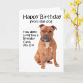 Carte d'anniversaire Staffordshire Bull Terrier (Fleur jaune)