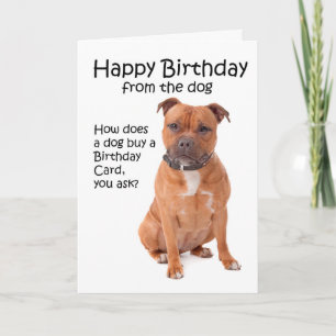 Carte d'anniversaire Staffordshire Bull Terrier