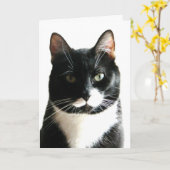 Carte d'anniversaire Stare Down (Fleur jaune)