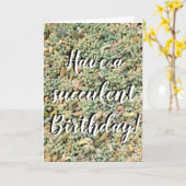 Carte d'anniversaire Succulente (Fleur jaune)