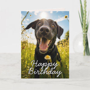 Carte d'anniversaire sur mesure Black Labrador