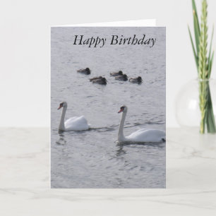 Carte d'anniversaire Swans
