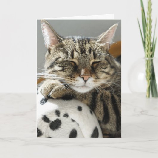 CARTE D'ANNIVERSAIRE TABBY CAT (Devant)