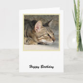 Carte d'anniversaire Tabby Cat (Devant)
