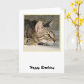 Carte d'anniversaire Tabby Cat (Fleur jaune)