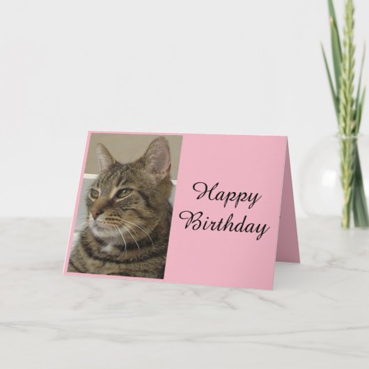 Carte d'anniversaire Tabby Cat (Devant)