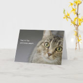 Carte d'anniversaire Tabby Cat par thème pour une (Fleur jaune)