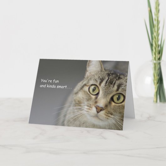 Carte d'anniversaire Tabby Cat par thème pour une (Devant)