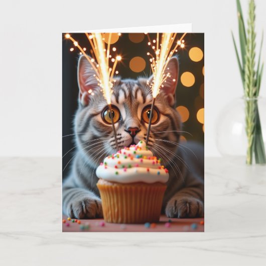 Carte d'anniversaire Tabby Sparkler (Devant)
