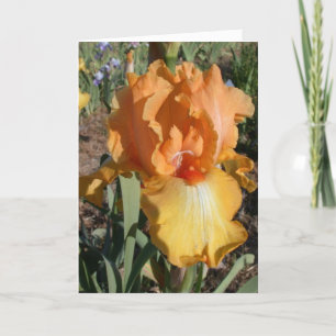 Carte d'anniversaire tardive - mémoire