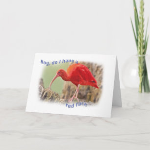 Carte d'anniversaire tardive Scarlet Ibis Bird