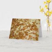 Carte d'anniversaire "Thai Chicken Pizza" (Fleur jaune)