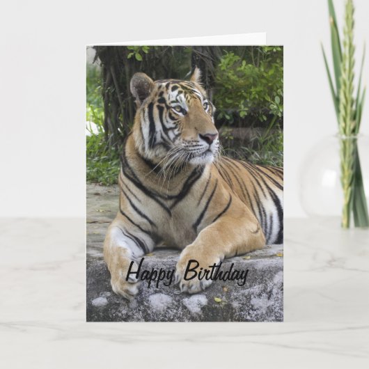 Carte d'anniversaire Tiger Blank (Devant)