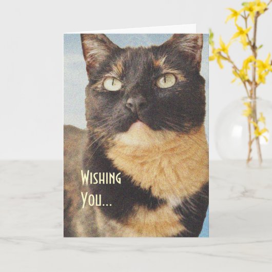 Carte d'anniversaire Tortoise Shell Cat (Fleur jaune)