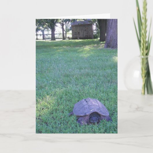 Carte d'anniversaire "Tortue serpentine du village (Devant)