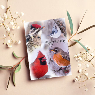 Carte d'anniversaire Variété d'oiseaux joyeux