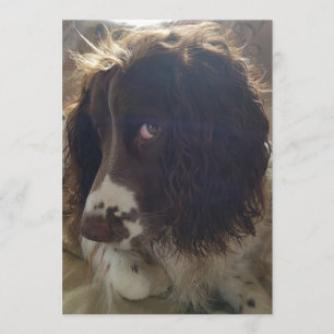 Carte d'anniversaire vide 5x7