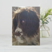 Carte d'anniversaire vide 5x7 (Debout devant)