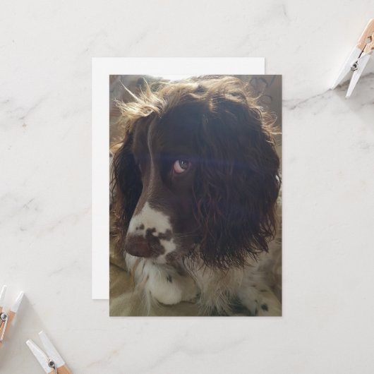 Carte d'anniversaire vide 5x7 (Devant/Arrière en situation)