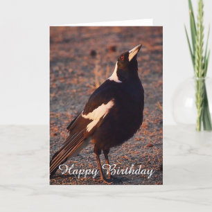 Carte d'anniversaire vierge - Magpie australienne