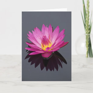 Carte d'anniversaire Water Lily