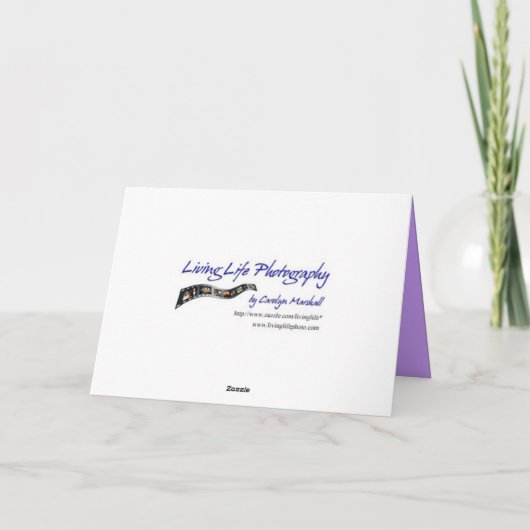 Carte d'anniversaire Water Lily (Dos)