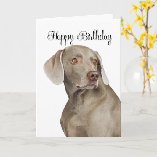 Carte d'anniversaire Weimaraner (Fleur jaune)