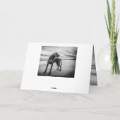 Carte d'anniversaire Weimaraner (Dos)