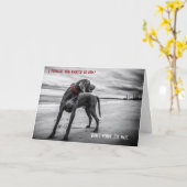 Carte d'anniversaire Weimaraner (Fleur jaune)