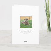 Carte d'anniversaire Weimaraner (Dos)