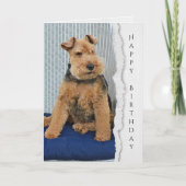 Carte d'anniversaire Welsh Terrier (Devant)
