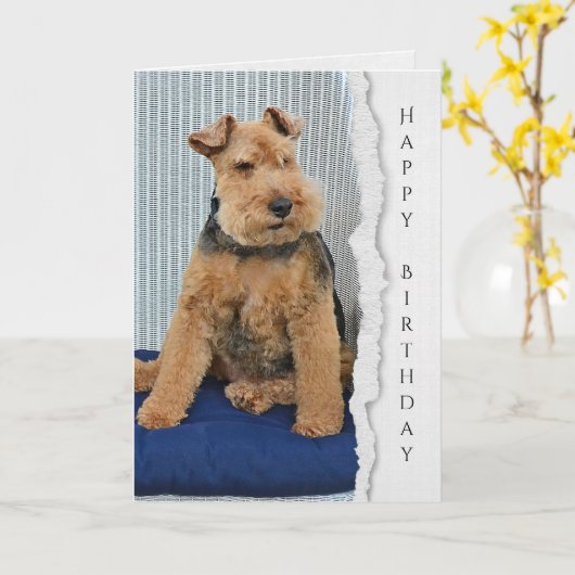 Carte d'anniversaire Welsh Terrier (Fleur jaune)