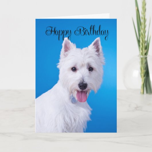 Carte d'anniversaire Westie (Devant)