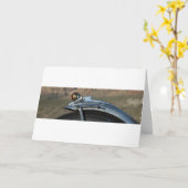 Carte d'anniversaire Wicked (Fleur jaune)