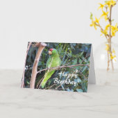 Carte d'anniversaire Wild Parrot (Fleur jaune)