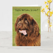 Carte d'anniversaire Yappy de Terre-Neuve (Fleur jaune)