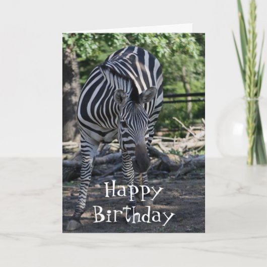carte d'anniversaire zebra (Devant)