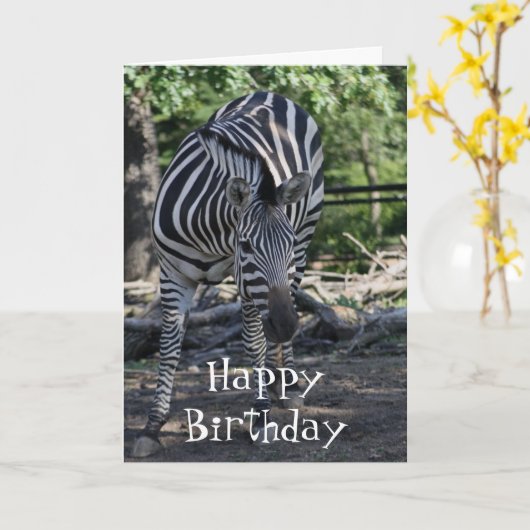 carte d'anniversaire zebra (Fleur jaune)