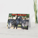 Carte d'anniversaire Zebra Friends<br><div class="desc">Photo prise au zoo de deux zèbres se frottant la tête l'un contre l'autre.  Copyright par Brenda Thour 2010.</div>