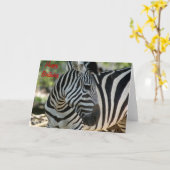 Carte d'anniversaire Zebra Pose (Fleur jaune)