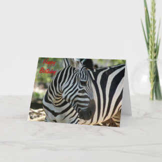 Carte d'anniversaire Zebra Pose