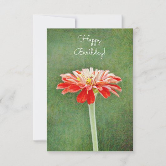 Carte d'anniversaire Zinnia Red Flower Artsy (Devant)