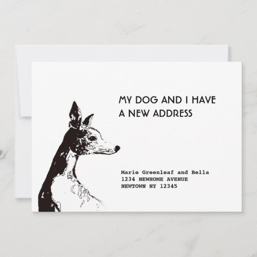 Carte d'annonce à plat (Devant)