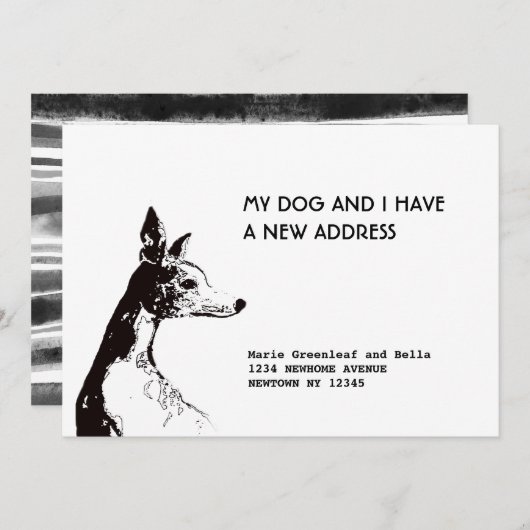 Carte d'annonce à plat (Devant / Derrière)