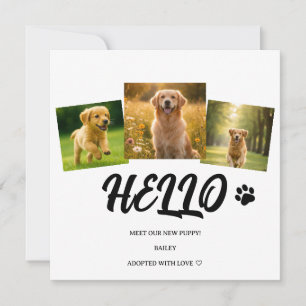 Carte d'annonce de bienvenue pour chiot Golden Ret