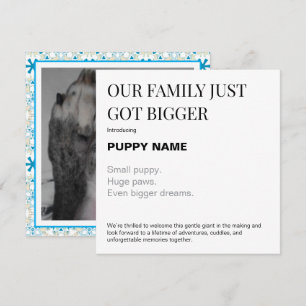 Carte d'annonce de photo de nouveau chiot