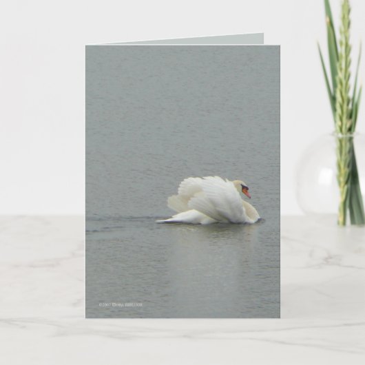 Carte Dans la beauté (Devant)