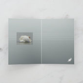 Carte Dans la beauté (Intérieur)