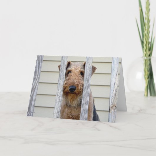 Carte "Dans la niche" (Devant)