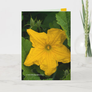 Carte Dans le jardin